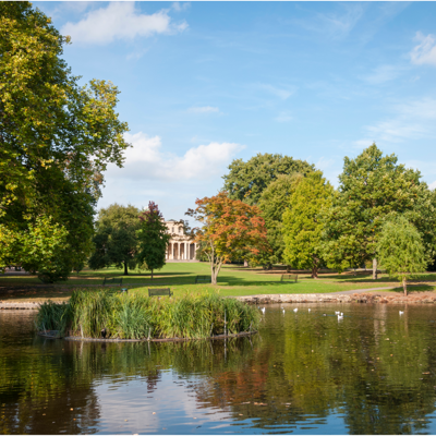 A park featuring a serene pond with a prominent building in the background.