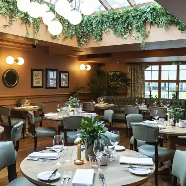 Dining room featuring tables, chairs, foliage and a skylight.