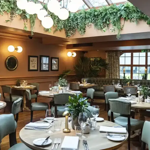 Dining room featuring tables, chairs, foliage and a skylight.