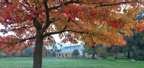 Cannizaro House in Autumn